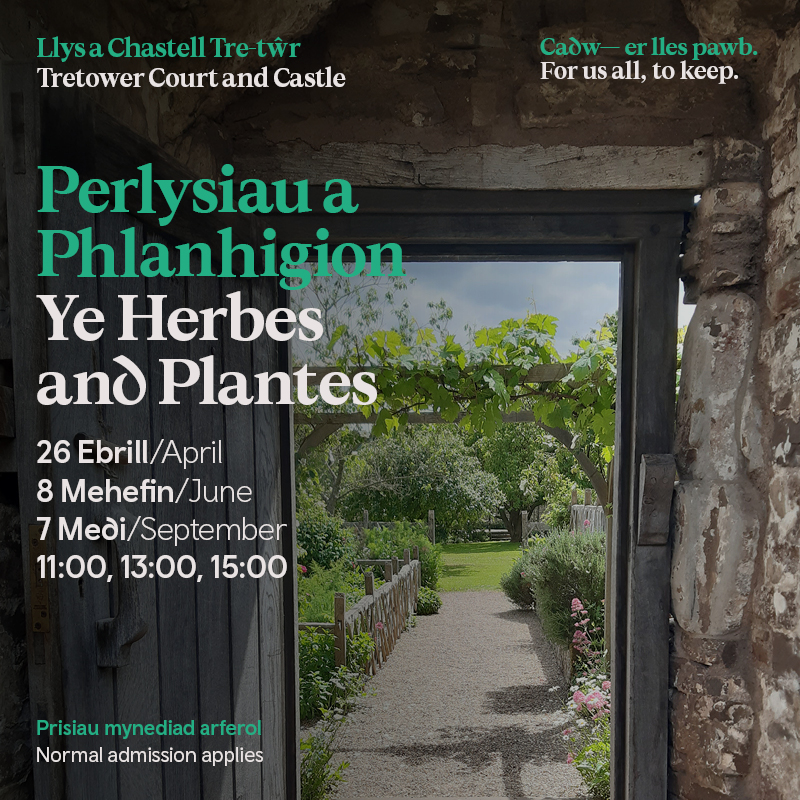 Take a Tour and Talk – a guided seasonal trip around the fascinating flora flourishing in Tretower’s recreated medieval garden.

Listen to Mistress Elizabeth as she dispenses appropriate seasonal advice on the herbaceous contents of Tretower’s idyllic grounds.