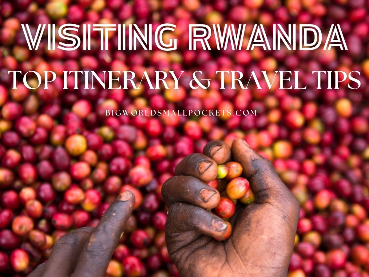 Rwanda Travel Guide: Itinerary + Tips 🇷🇼

📝 This handy guide contains all the key travel tips for visiting Rwanda , plus the 1 week itinerary, you need to have the best, safest and most enjoyable time there...

➡️ bigworldsmallpockets.com/visiting-rwand…