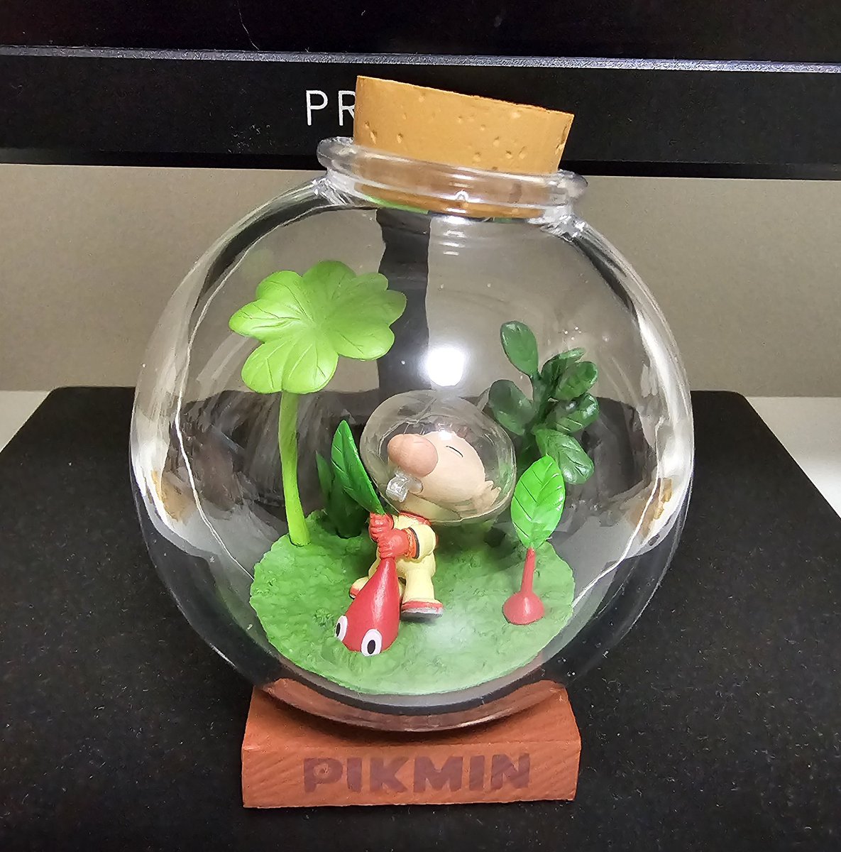 Midd Midd Life 🧡💀 tweet media