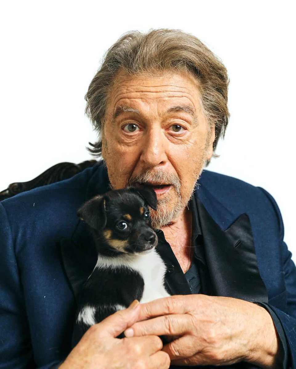 best of al pacino (@bestofpacino) on Twitter photo 