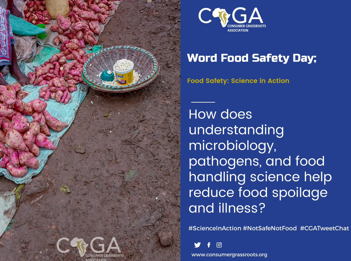 How does understanding microbiology, Pathogens and food handling science help reduce food spoilage and illness? #WorldFoodSafetyDay2025 #NotSafeNotFood #ScienceInAction