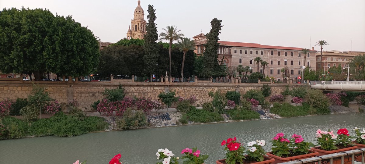 Nice to see old friends and meet new ones at XXVII Applied Economic Meeting <a href="/ALdEconomia/">ALDE</a> <a href="/UMU/">Universidad Murcia</a> <a href="/murcia/">murcia</a>
