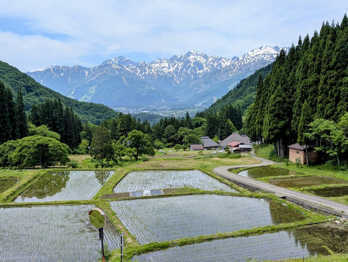 新緑の季節が待ち遠しい！長野で大自然を感じたいならこんな