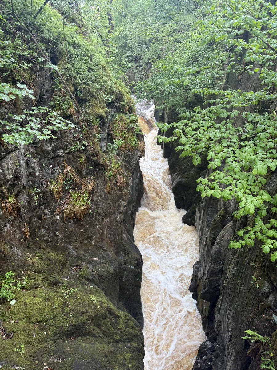 Smithersctid's tweet image. Spectacular ingleton falls walk this morning 👌🏻#walks #ingleton #YorkshireDales
