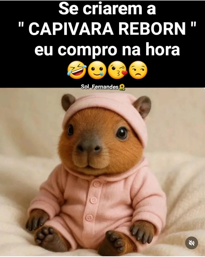 Bom diaaaaa!!🌹