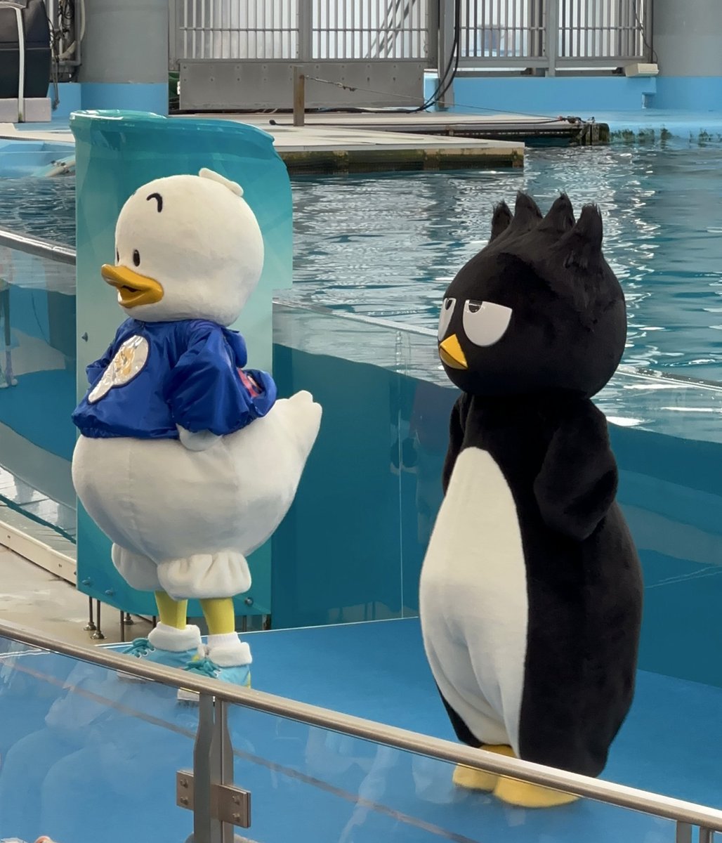 ぽこぽん様 ご確認用☺︎✨ en🍊 🛼 🖇 🗺 on X