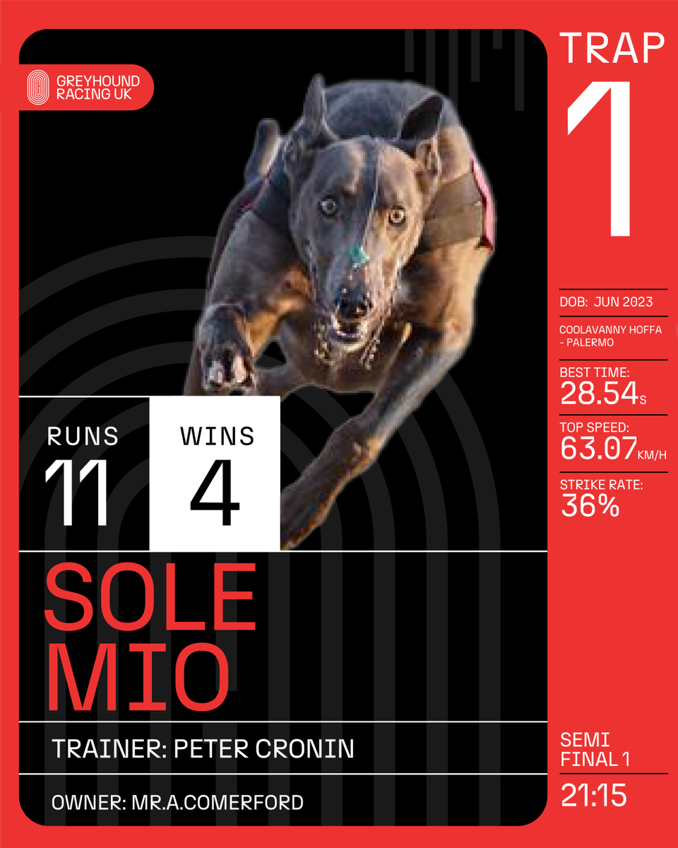 TowcesterGHs's tweet photo. ๐The First Semi-Final: Meet the Inside Seeds!
Three contenders, one mission: make it to the Derby Final.
๐ Donโt miss it โ book now: https://t.co/zar3iWJnW5
#Derby2025 #GreyhoundRacing #Towcester #SemiFinalNight #TrapDraw #GetYourTickets https://t.co/UrhfW9FmNf