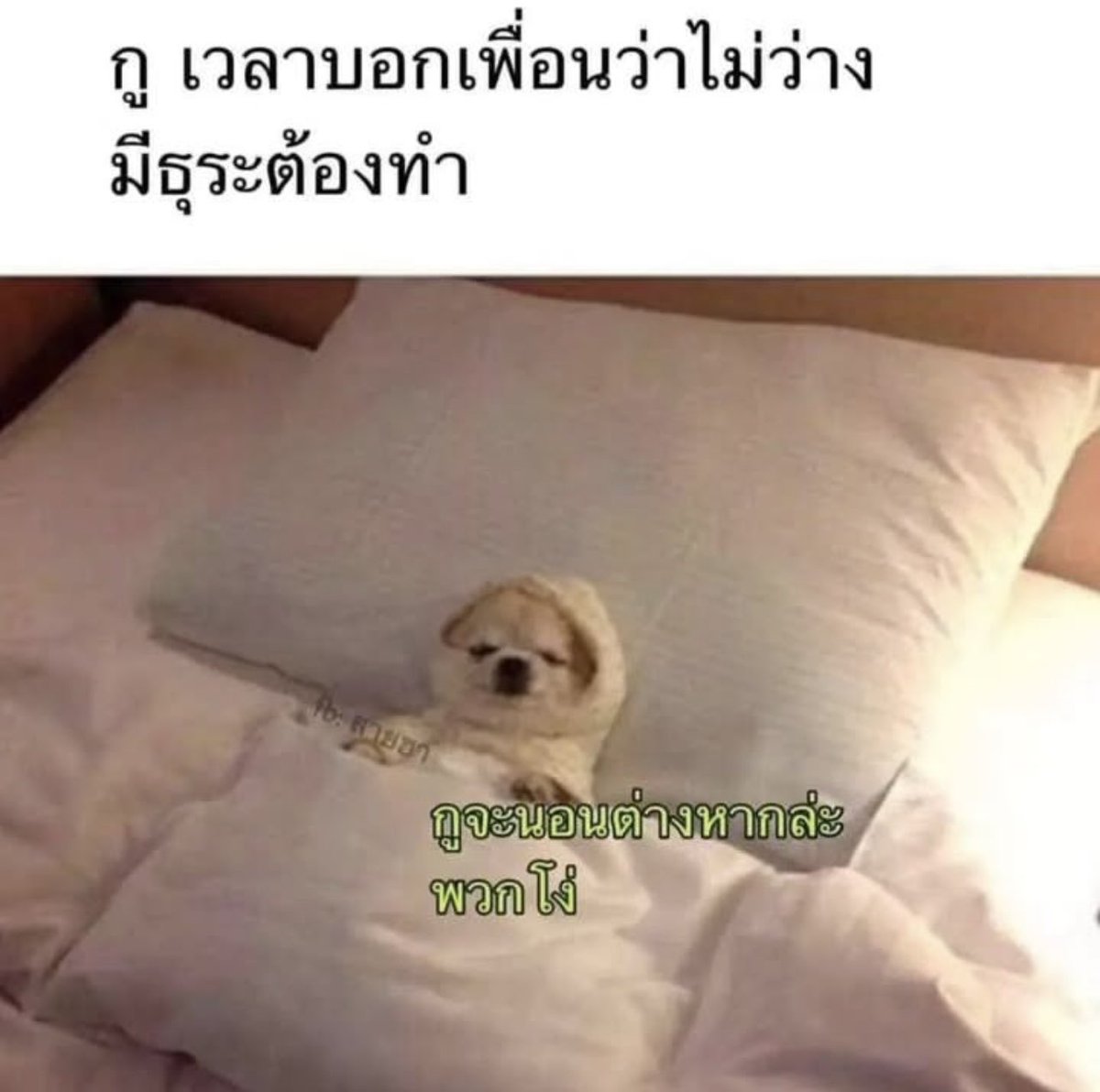 ชีวิตกุ 10,000%