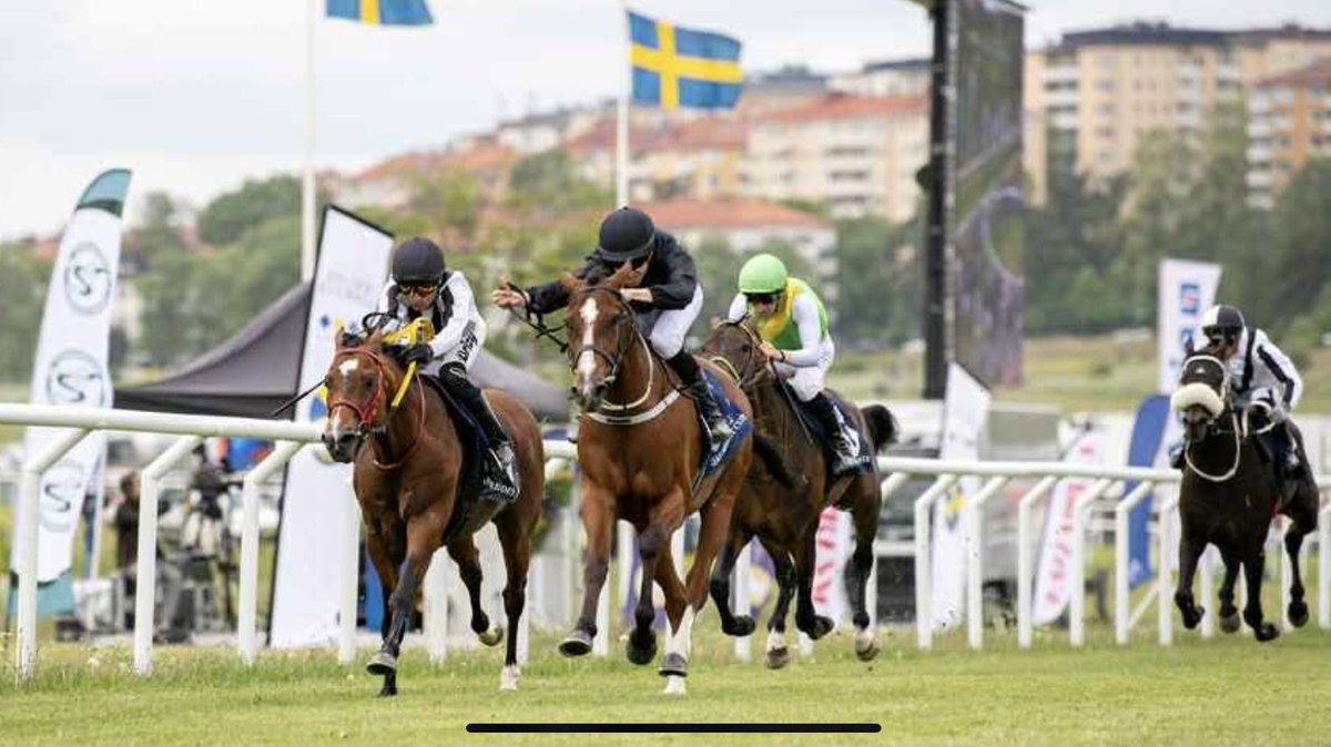 lefebvre fabien (@lefebvrefabien1) on Twitter photo 🌟100% win🌟 🏆 on Friday at Gärdet, Stockholm🇸🇪:
Victory in the “Listed” 1600m (100 000 E) Price “UAE President Cup”!
- 🥇#FaridaP🐎 (Arabian) - P. Deckers - Anne Engels
Agents:
Lisa Pauwels🇧🇪
<a href="/Benjhub/">Benjamin Hubert</a>🇫🇷 🌟100% win🌟 🏆 on Friday at Gärdet, Stockholm🇸🇪:
Victory in the “Listed” 1600m (100 000 E) Price “UAE President Cup”!
- 🥇#FaridaP🐎 (Arabian) - P. Deckers - Anne Engels
Agents:
Lisa Pauwels🇧🇪
<a href="/Benjhub/">Benjamin Hubert</a>🇫🇷