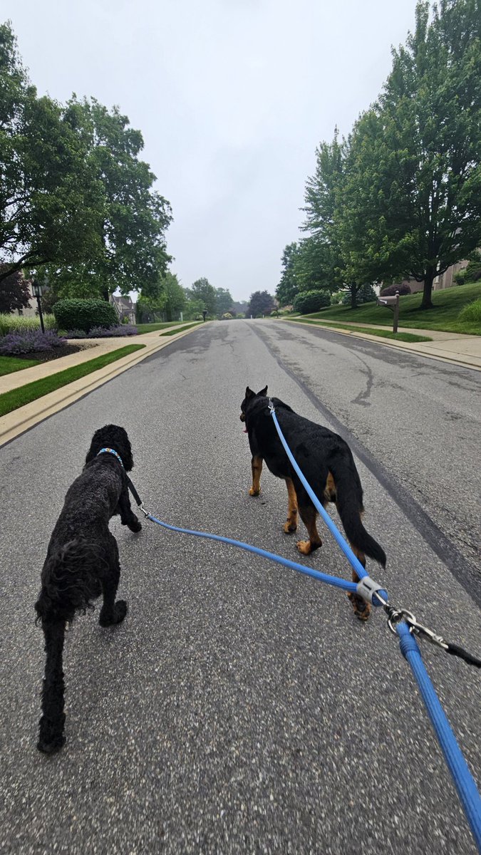 Today is the day, but it's not too late to support UPMC Children's Hospital Foundation and Walk for Children's. Visit walkforchildrens.org to donate through June 30.