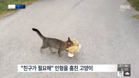 구리밤 ~트친소중~ (@guri_bam) on Twitter photo 