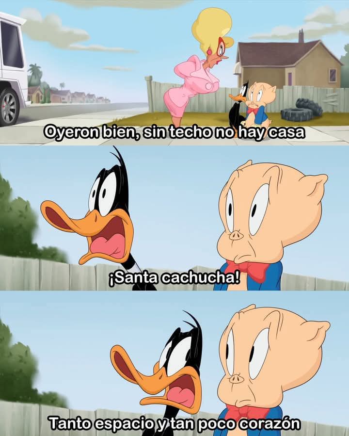 Condor Causa (@condor_causita) on Twitter photo 