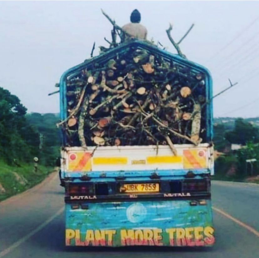 The fight against climate change is a myth in my home country. 💔