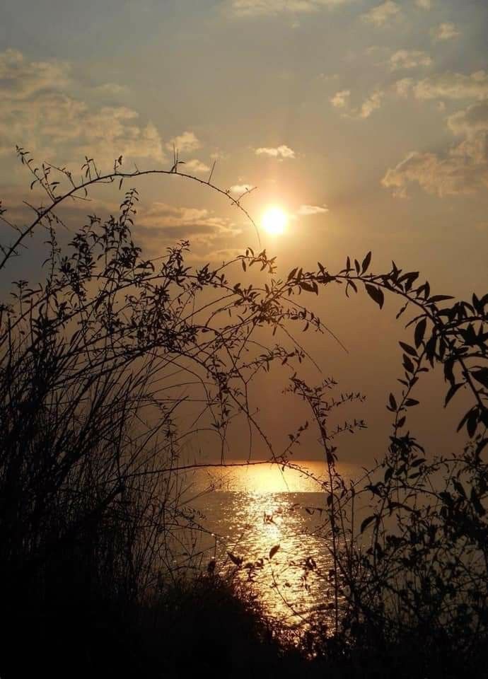 Xenia (@mubeen477) on Twitter photo 