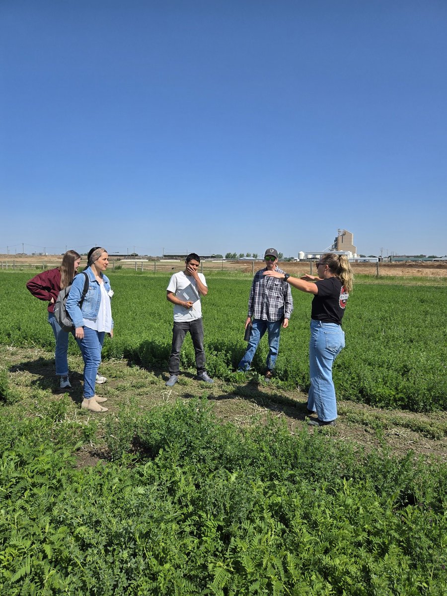 DrBart_Beef's tweet image. Great meeting with @pokhrelihp and Dr Terry #AAFCLethbridge #AppliedBeefForageResearch #Cicermilkvetch #Grazealfalfa #Bloatmitigation #Entericemissions #Soilhealth #PastureEconomics @AAFC_Canada @BeefResearch @SKAgriculture @agbiousask
