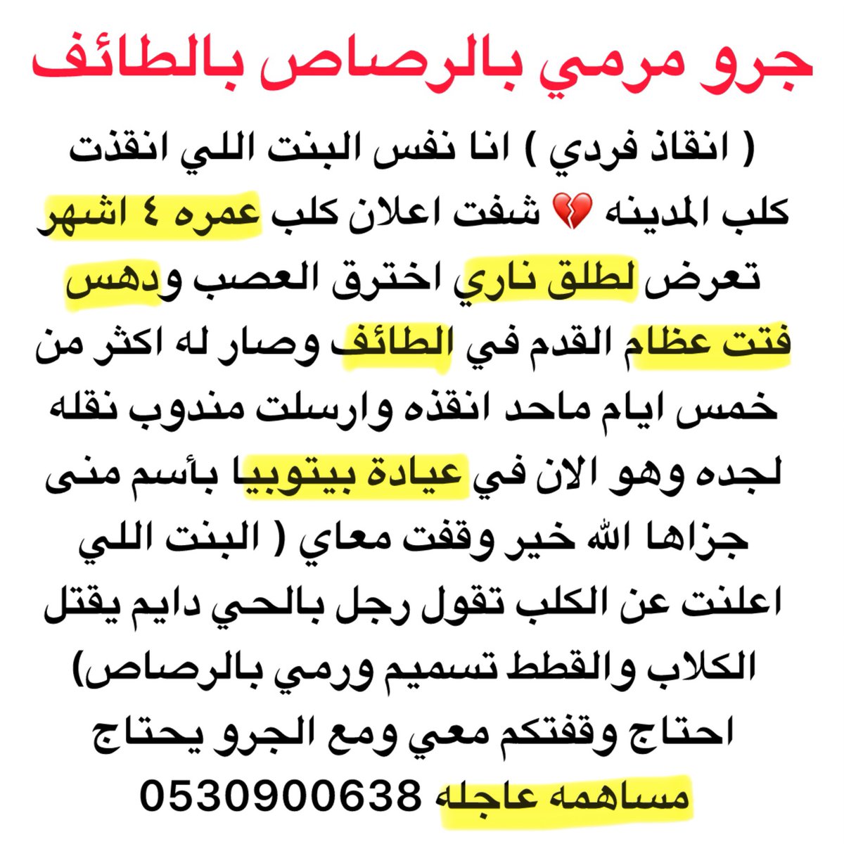 Hope 🌸 (@hemangh1) on Twitter photo 