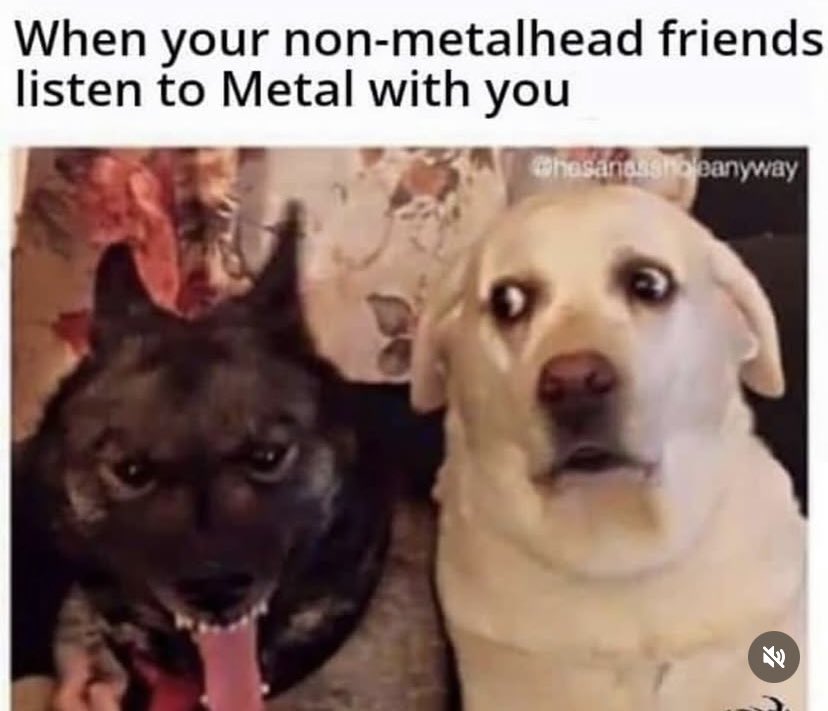 😂🤷🏻‍♀️