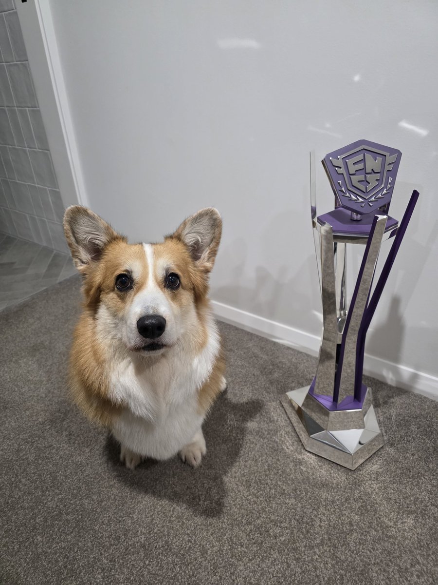 DIG Aussie Antics tweet media