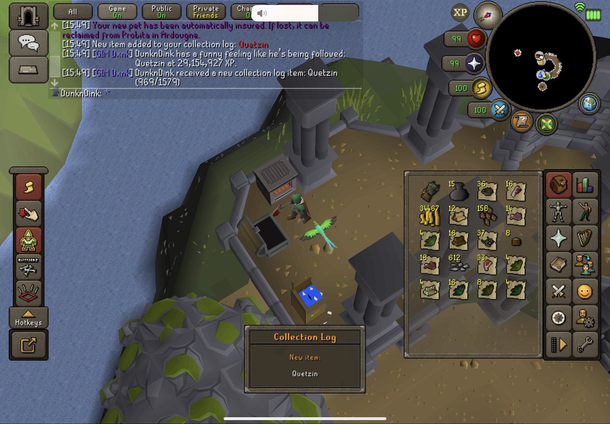 Pet #20 - Quetzin
1150 rumours. Loved this grind!