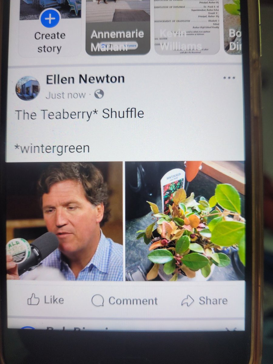 TinyFullHaus's tweet image. @TuckerCarlson Hppy belated birthday from #NotAWitch