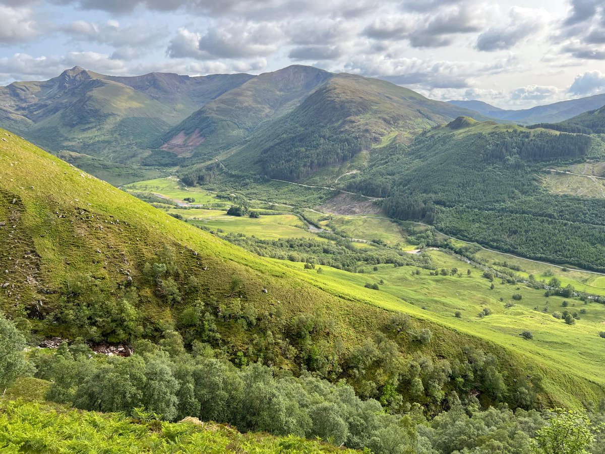 bearforceofficial tweet media