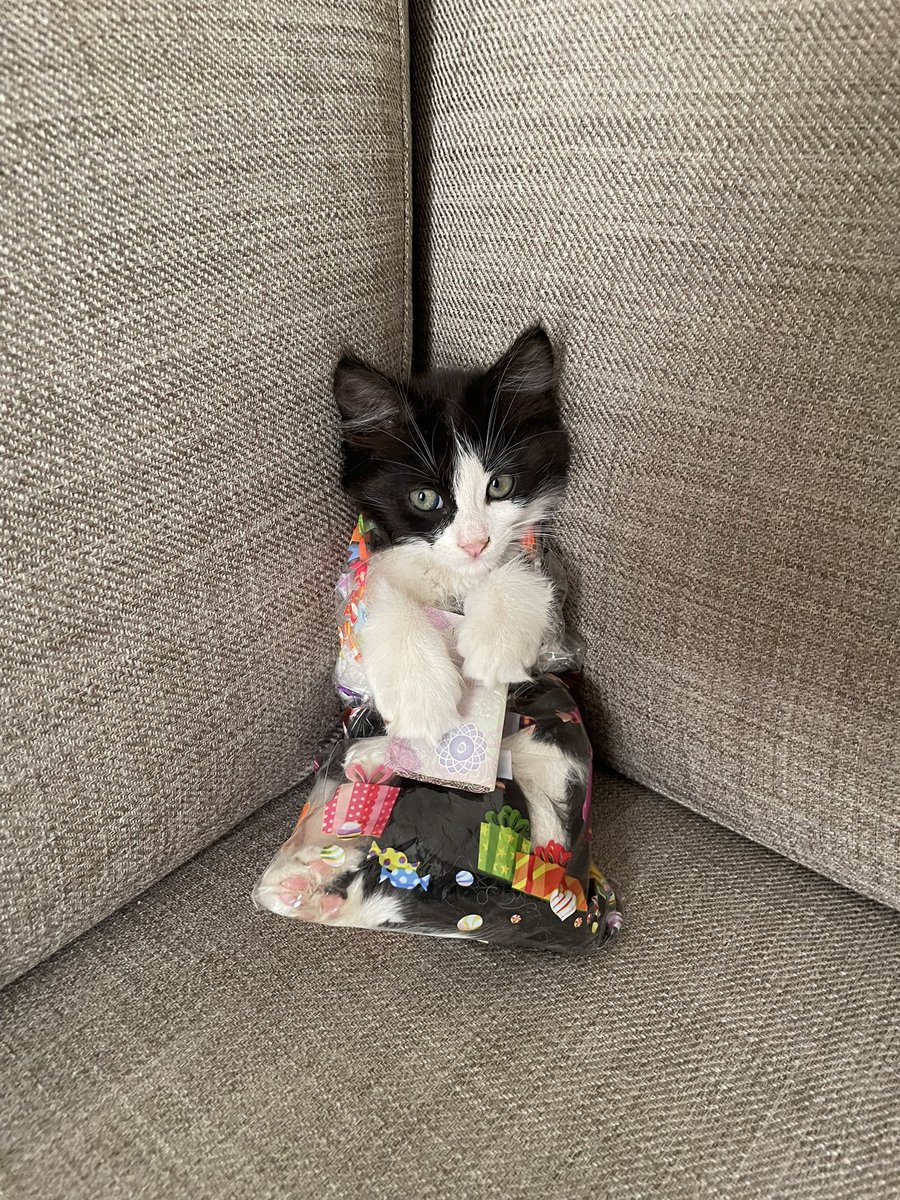 مين يبغى هذي العيدية