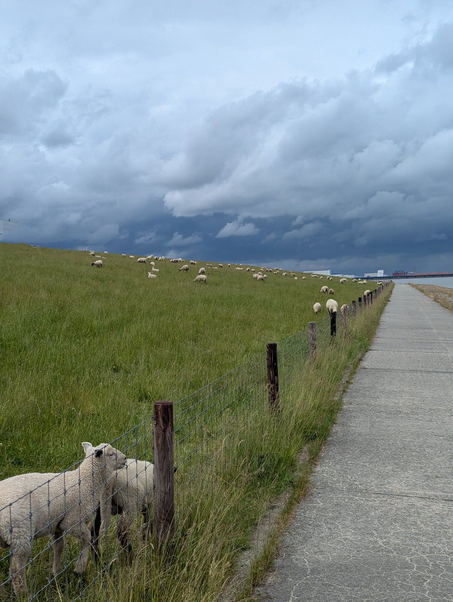 Ich liebe dieses Foto 😍😍😍

!B