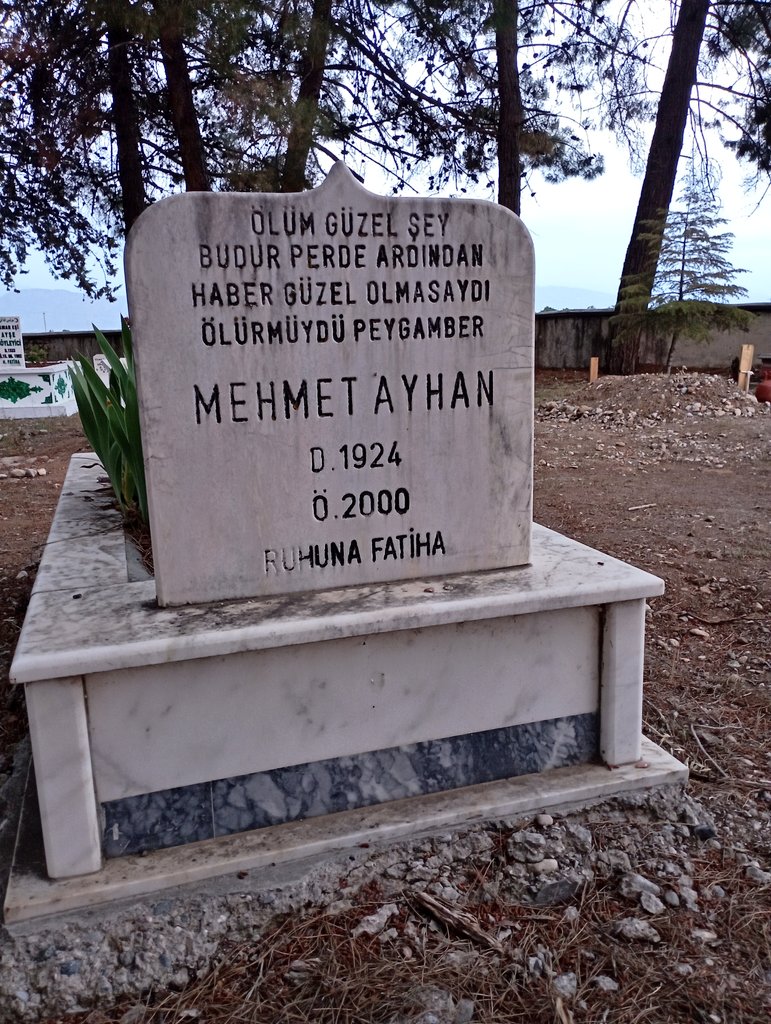 Dedemin kabrinden...

“Ölüm güzel şey, budur perde ardından haber...
Hiç güzel olmasaydı ölür müydü Peygamber?
Öleceğiz müjdeler olsun, müjdeler olsun!
Ölümü de öldüren Rabbe secdeler olsun!”
Üstad Necip Fazıl