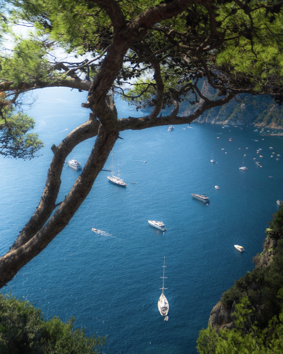 pgsilverX's tweet image. Just left Capri... you have to have lunch at La Fontelina.