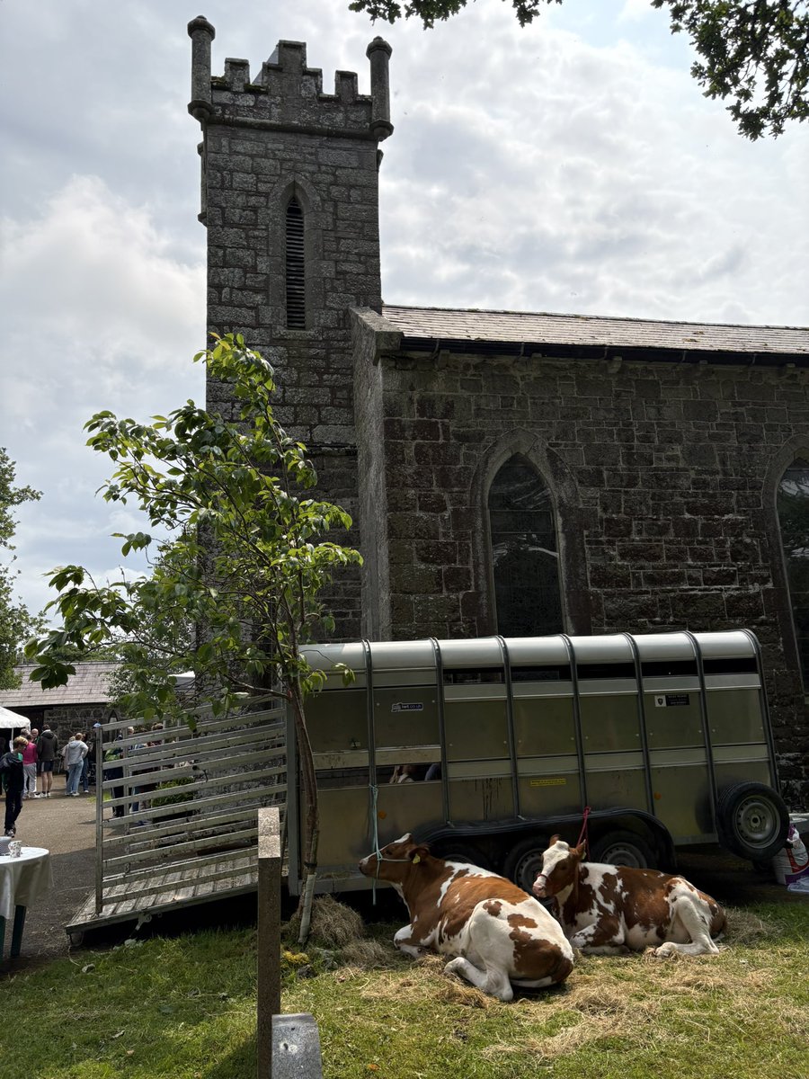 Ross Hamilton 🐄☎️🐄☎️🐑🦃🐓 tweet media