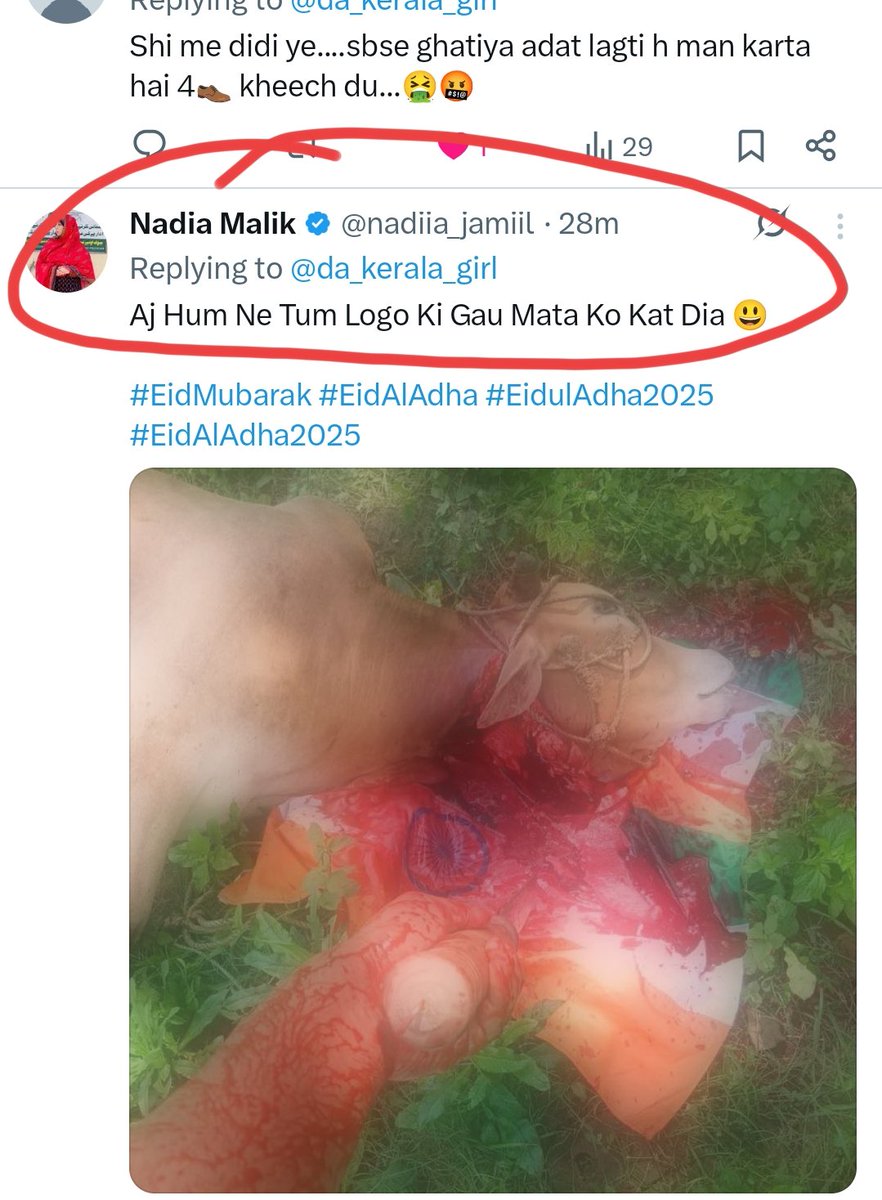 The Kerala Girl🪷🕉️( Bharath ki Beti ) (@da_kerala_girl) on Twitter photo Nadia malik is a proud Kashmiri mulli... trying to say she skilled one cow ....
.These people should be given gaza like treatment. Mordoch... ready-kals.
Want is concerning 🥲🥲🥲Indian Flag
<a href="/HPhobiaWatch/">Hindutva Knight</a> <a href="/randomsena/">Randomsena</a> <a href="/VigilntHindutva/">Hindutva Vigilant</a> Nadia malik is a proud Kashmiri mulli... trying to say she skilled one cow ....
.These people should be given gaza like treatment. Mordoch... ready-kals.
Want is concerning 🥲🥲🥲Indian Flag
<a href="/HPhobiaWatch/">Hindutva Knight</a> <a href="/randomsena/">Randomsena</a> <a href="/VigilntHindutva/">Hindutva Vigilant</a>