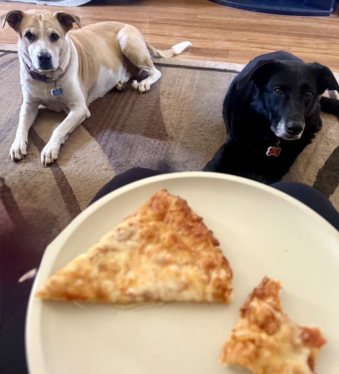 emmilkowski's tweet image. They know I don’t eat the crust, so I have an audience waiting for a hand out every time I eat pizza.