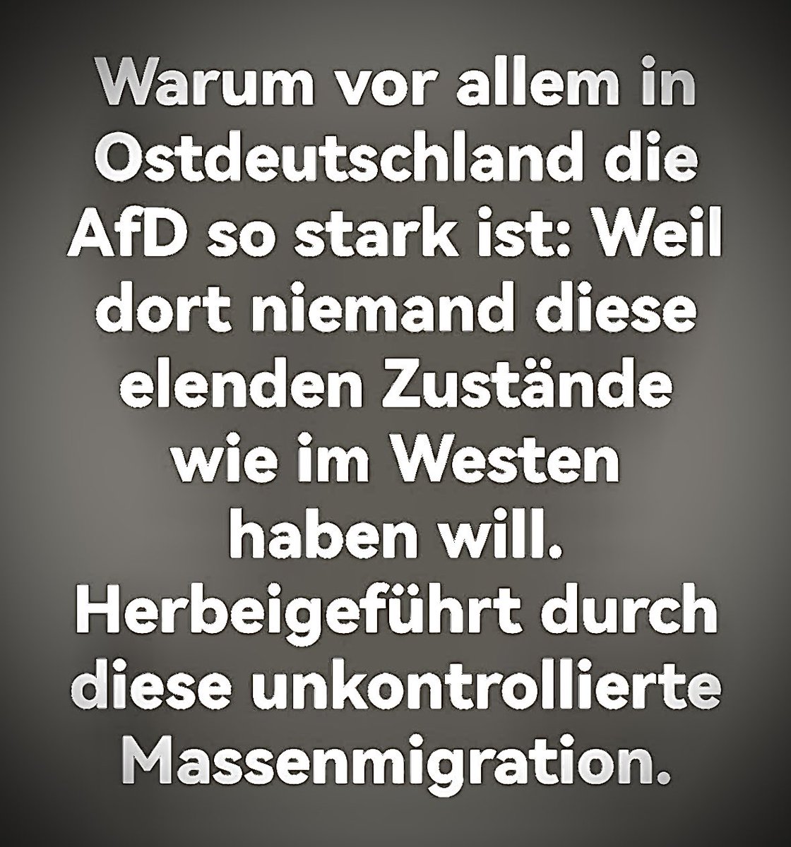 Es gibt eigentlich kein plausibles Argument, was gegen die AfD spricht! #AliceWeidel #TinoChrupalla