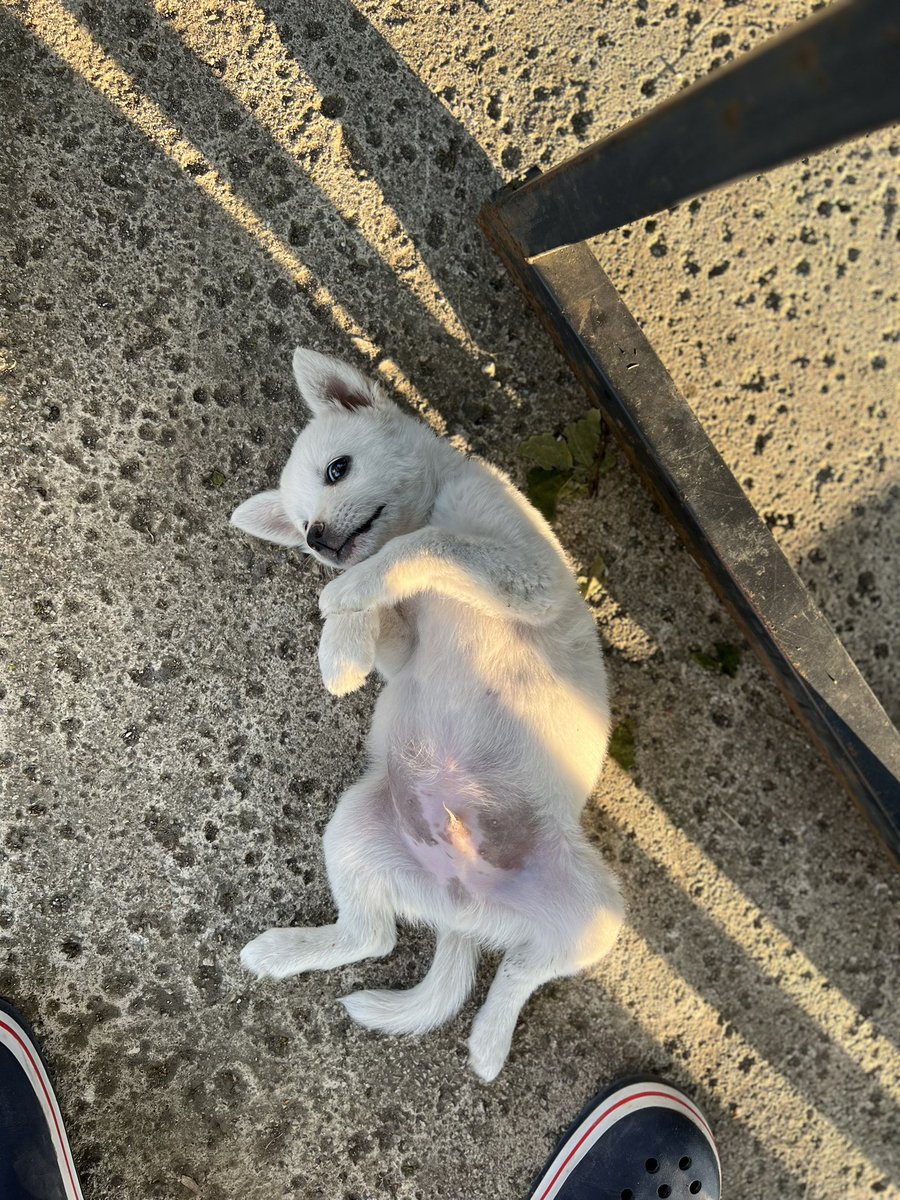 welcome home babe 🐾🐾