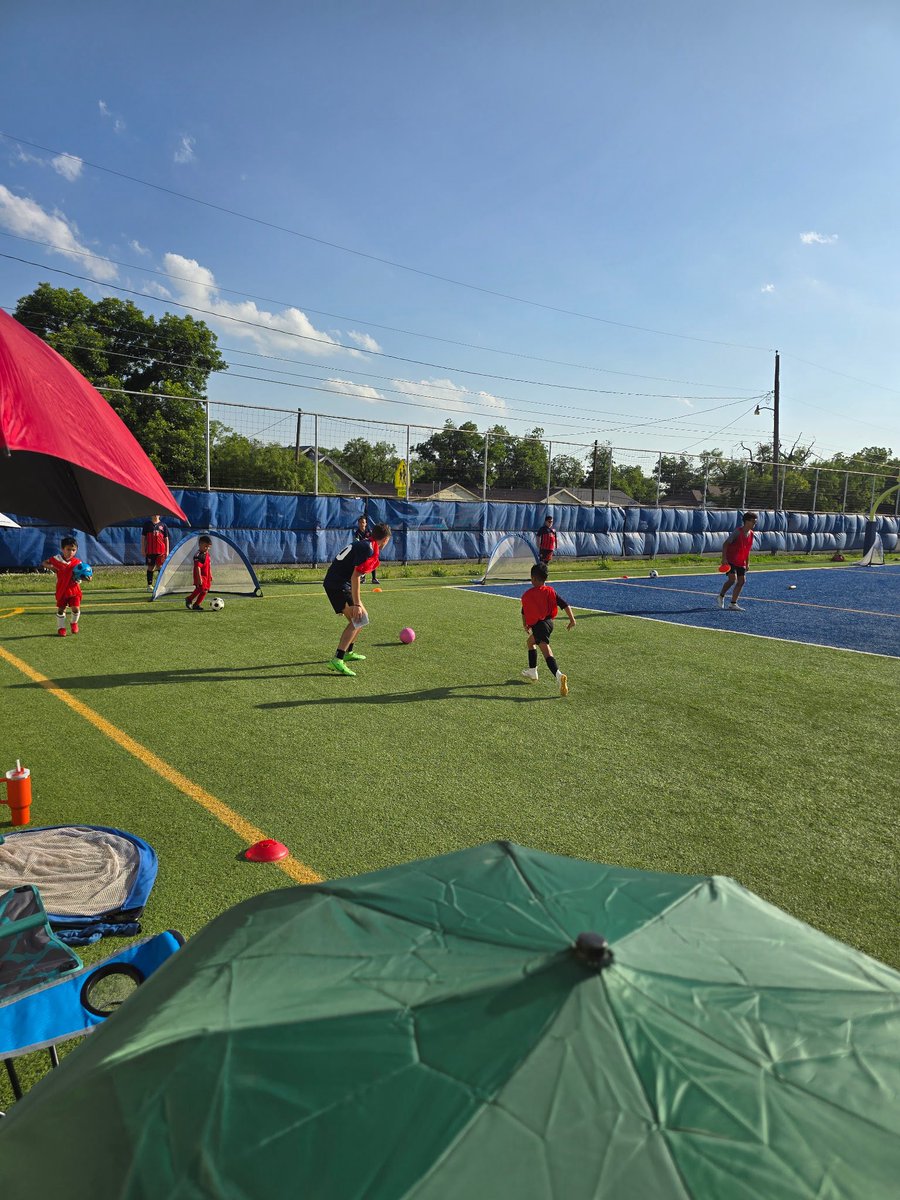 Lindsey Cook tweet media