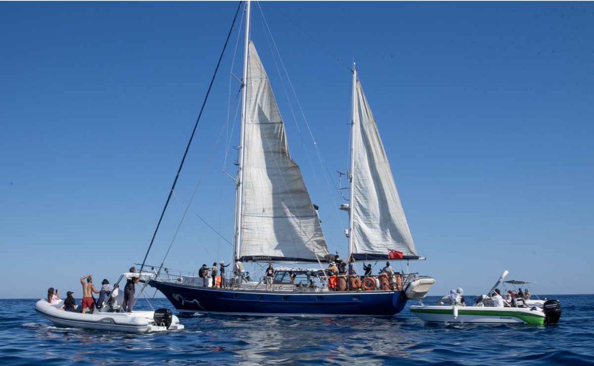 PopResistance's tweet photo. For 15 years, people from around the world have tried to end the blockade on #Gaza.

The next hours are crucial as the sailboat Madleen nears #Palestine carrying aid. Israel must respect the safety of the crew.

All eyes are needed on the @GazaFFlotilla!

https://t.co/WJuGCv2vcd https://t.co/6wzEVz2J1m