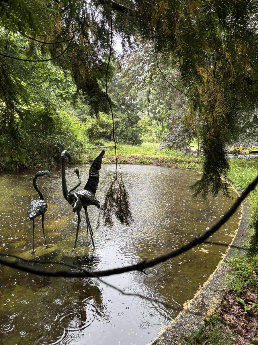 «Frohe Pfingsten • Belvoir Park Walk im erfrischenden Regen.»