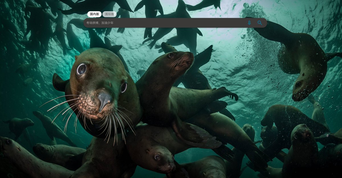 Bing 你有病吧，大半夜给我这种壁纸，吓我一跳