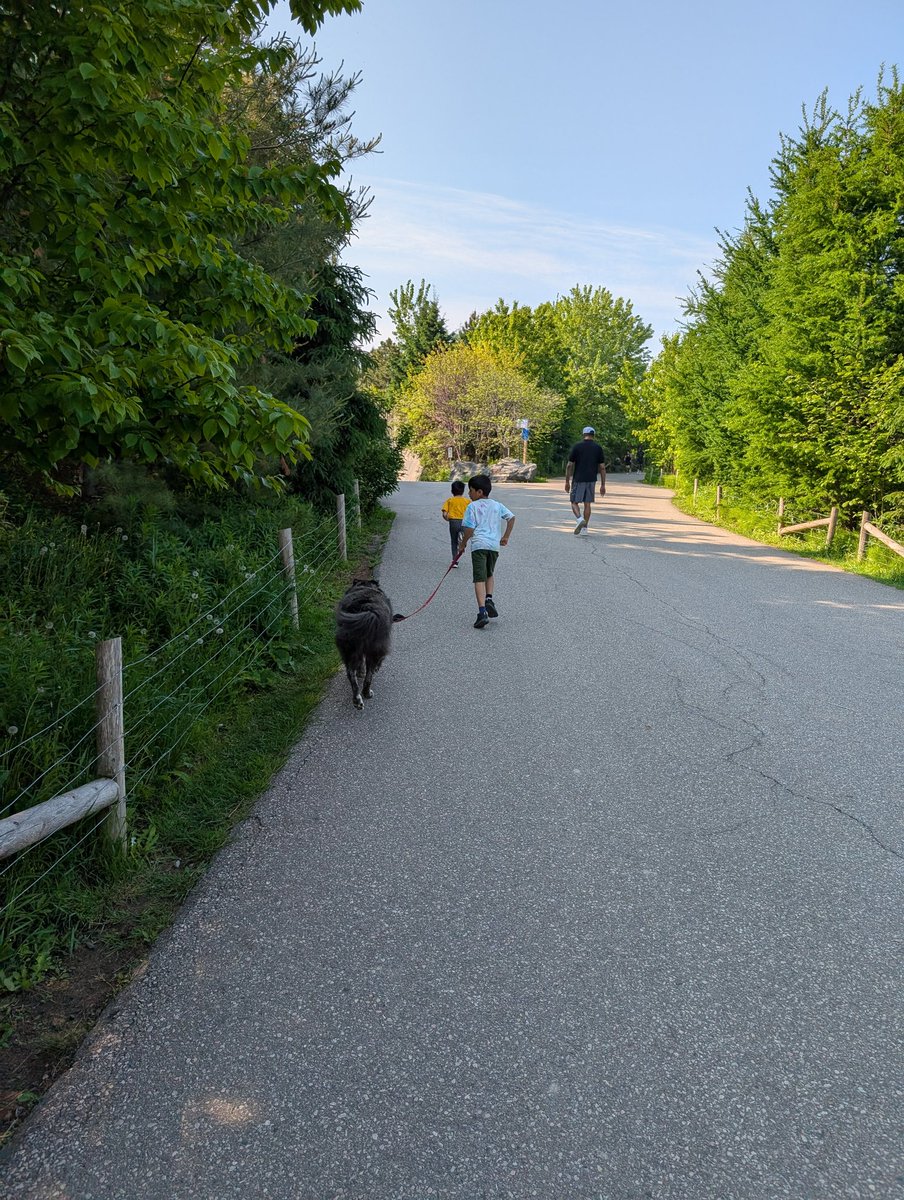 Toby Heaps tweet media