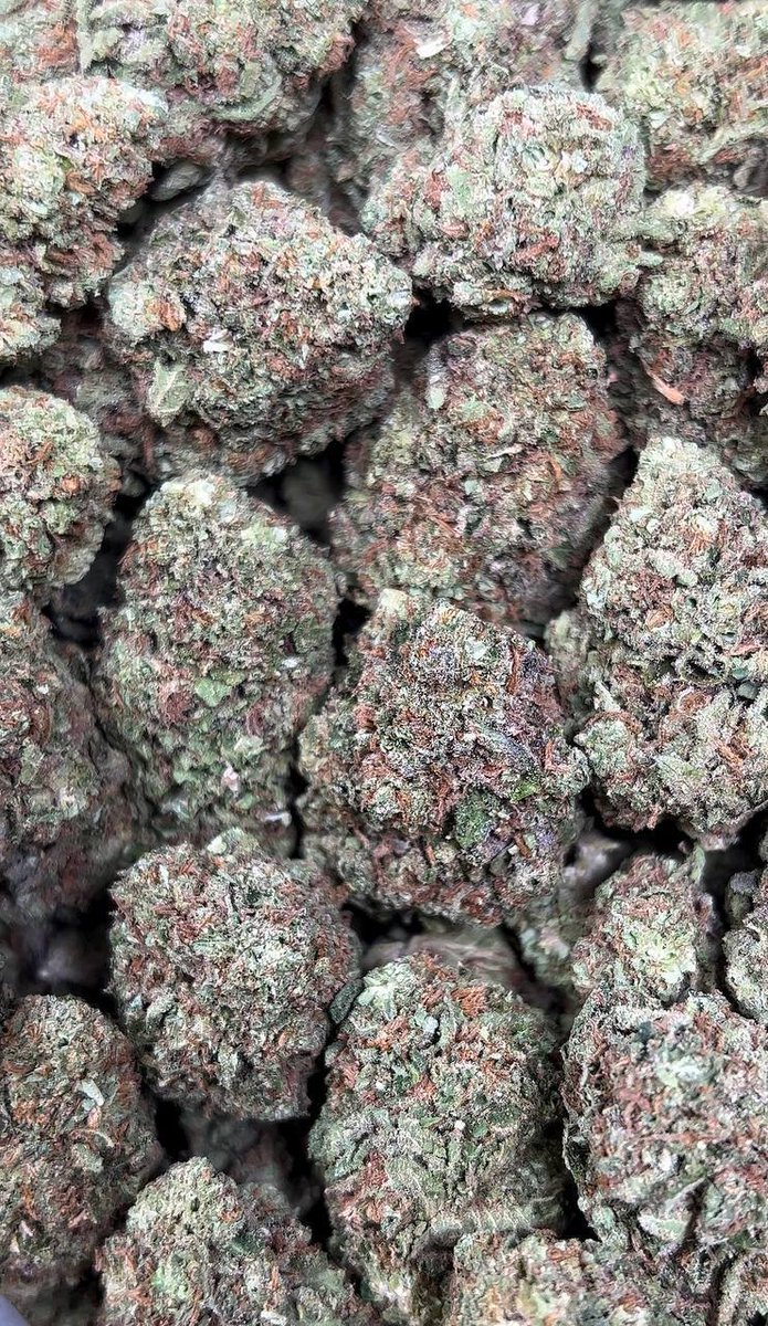 Sunset Sherbet

28g $130
50g $170
Qp $290