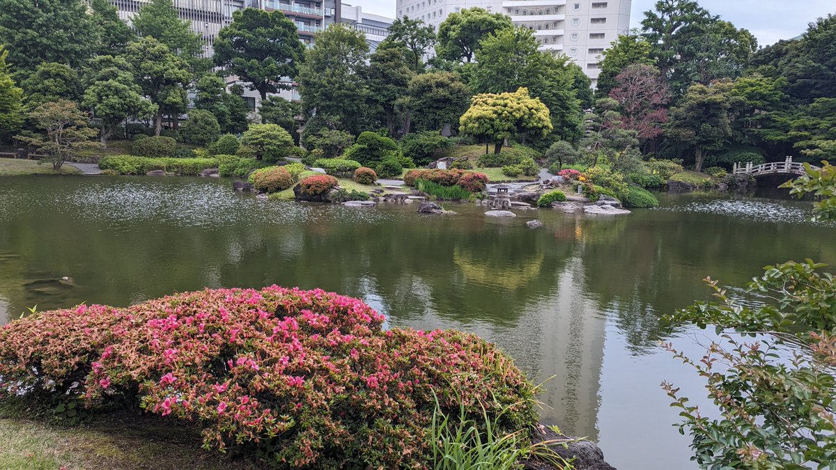 今日は本八幡へ誕おめAR撮影したあとに墨田区の錦糸町まで行き、たばこと塩の博物館を見学後〜両国まで歩いて横網公園〜旧安田庭園、そして秋葉原までという強行スケジュールでした。
たばこと塩の博物館で浮世絵の企画展もありましたね。久々にガッツリAR撮影できました。
#しゅがしゅがウォーキング