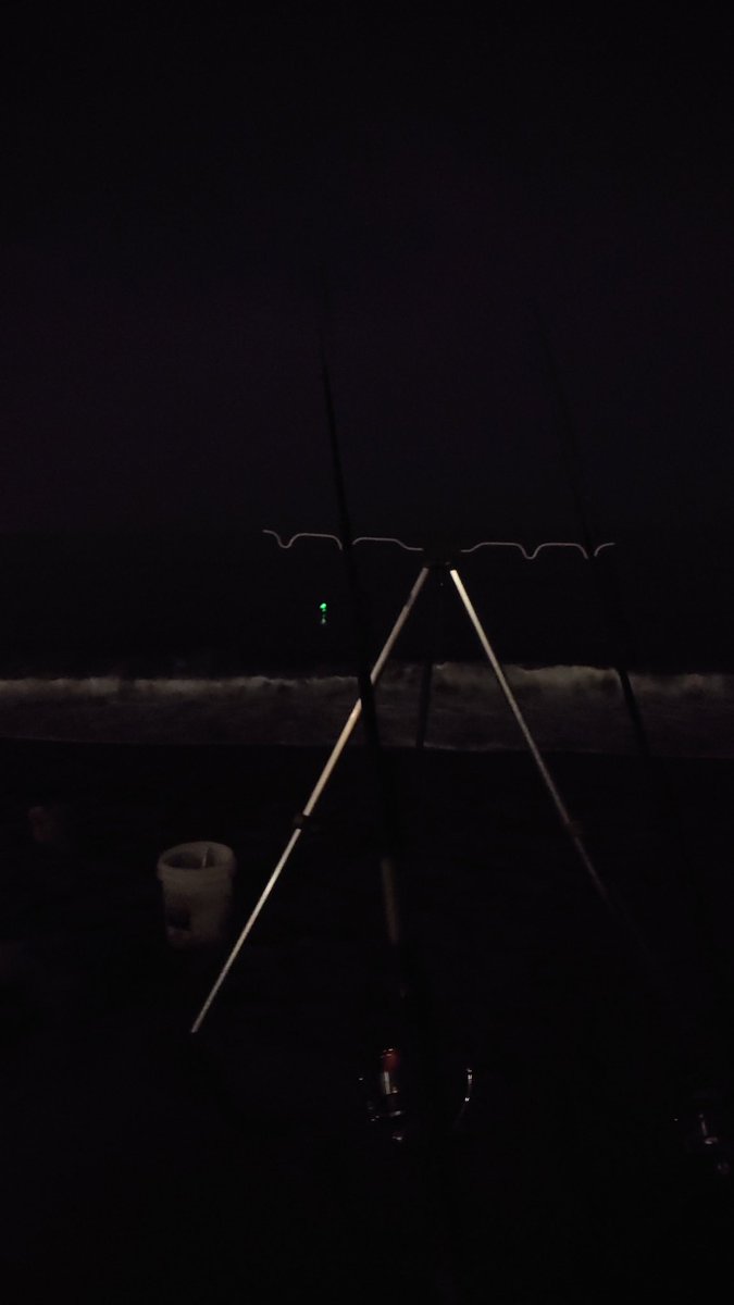 浜サビキにぶっ込み