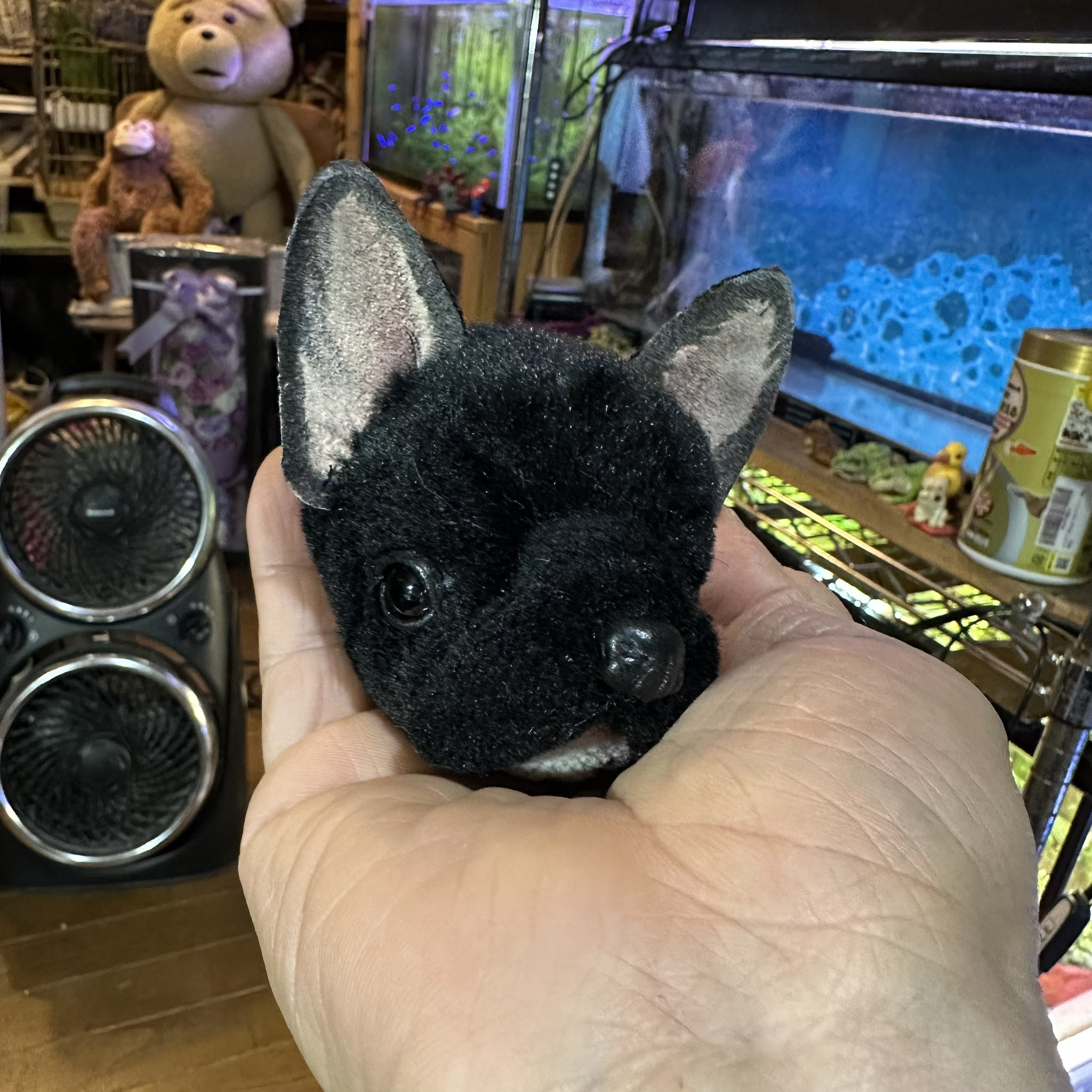 フレンチブルドッグのテディベア アーティスト 作家 フレンチブルドッグ ぬいぐるみ 作家 TEDDY PAPA 佐藤真也さん