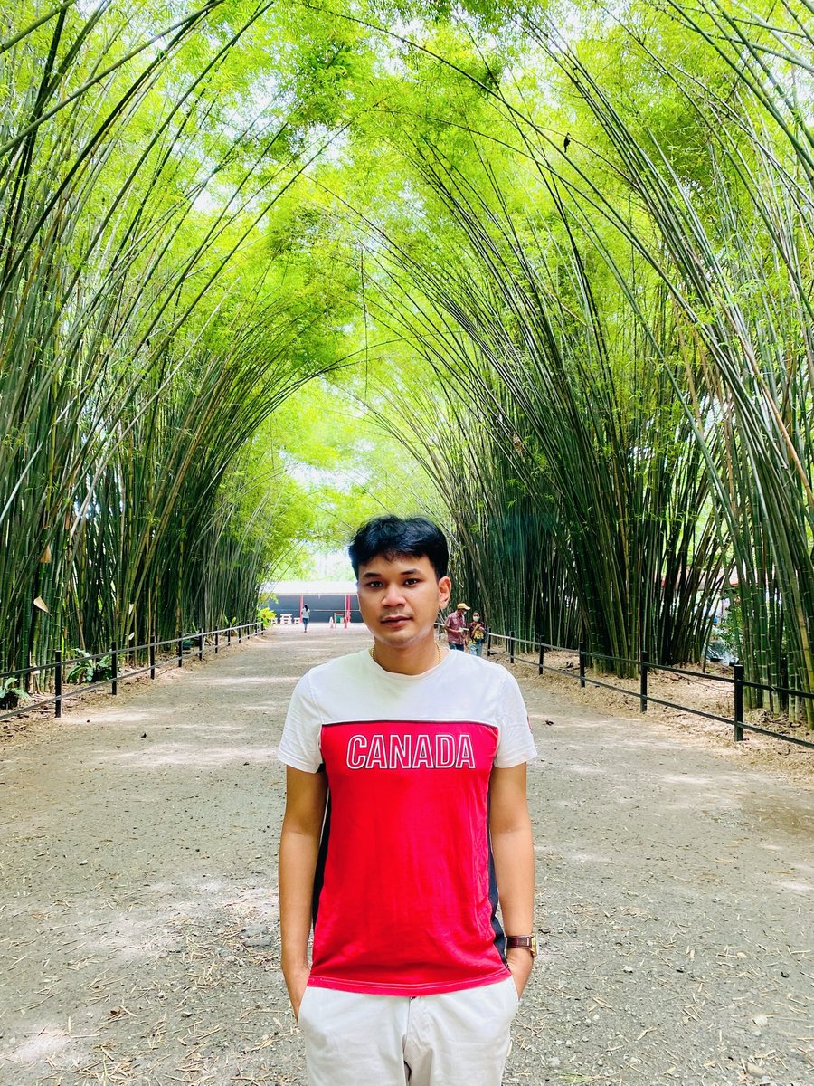 Pizfreedom tweet media