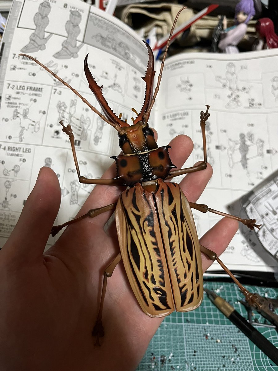 世界のウスバ「5種」 キンケツゥ・ナウ on X