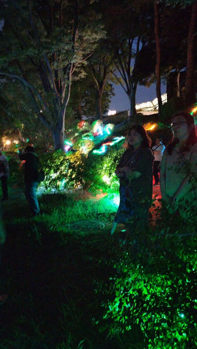 eternity0741's tweet photo. YohsS2025行ってきました、夜の短い時間だけど幻想的な非日常、マラカス片手に夜の公園を楽しく歩きました、来年も楽しみです🎵

#YOHAS #夜ハス #千葉公園 https://t.co/nStISMWKL5
