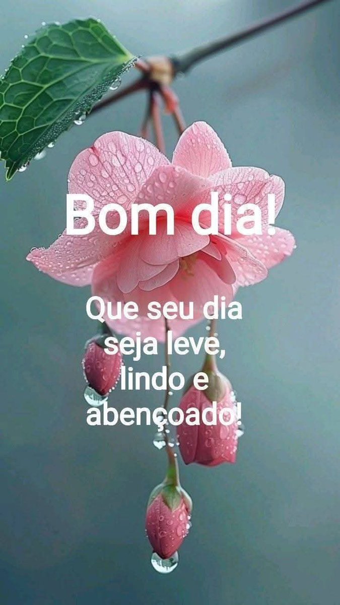 DslgMarcio's tweet image. 