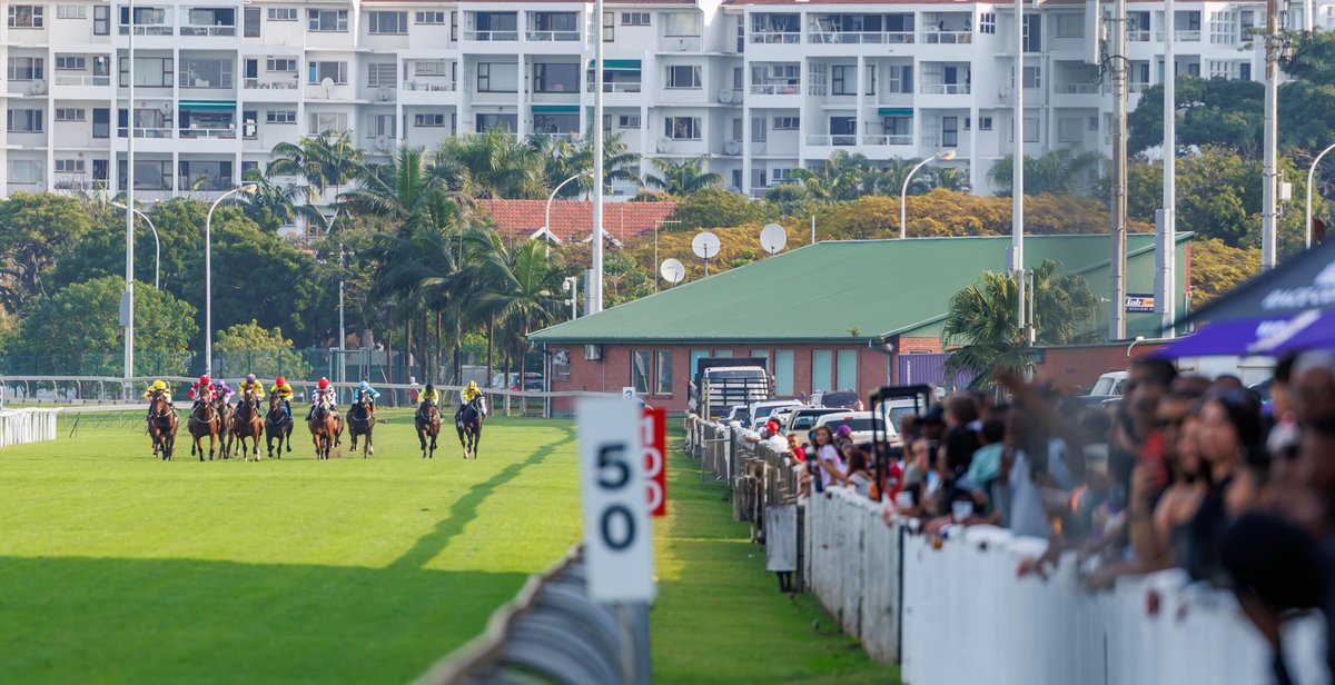Hollywoodbets's tweet photo. POV: the finishing line at Hollywoodbets Greyville 🐎👀🏁 https://t.co/9HtF33cpxV