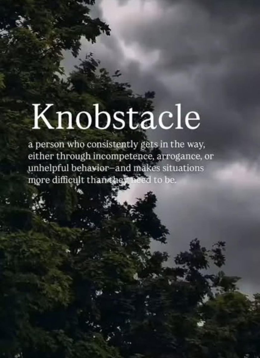My new favourite word.