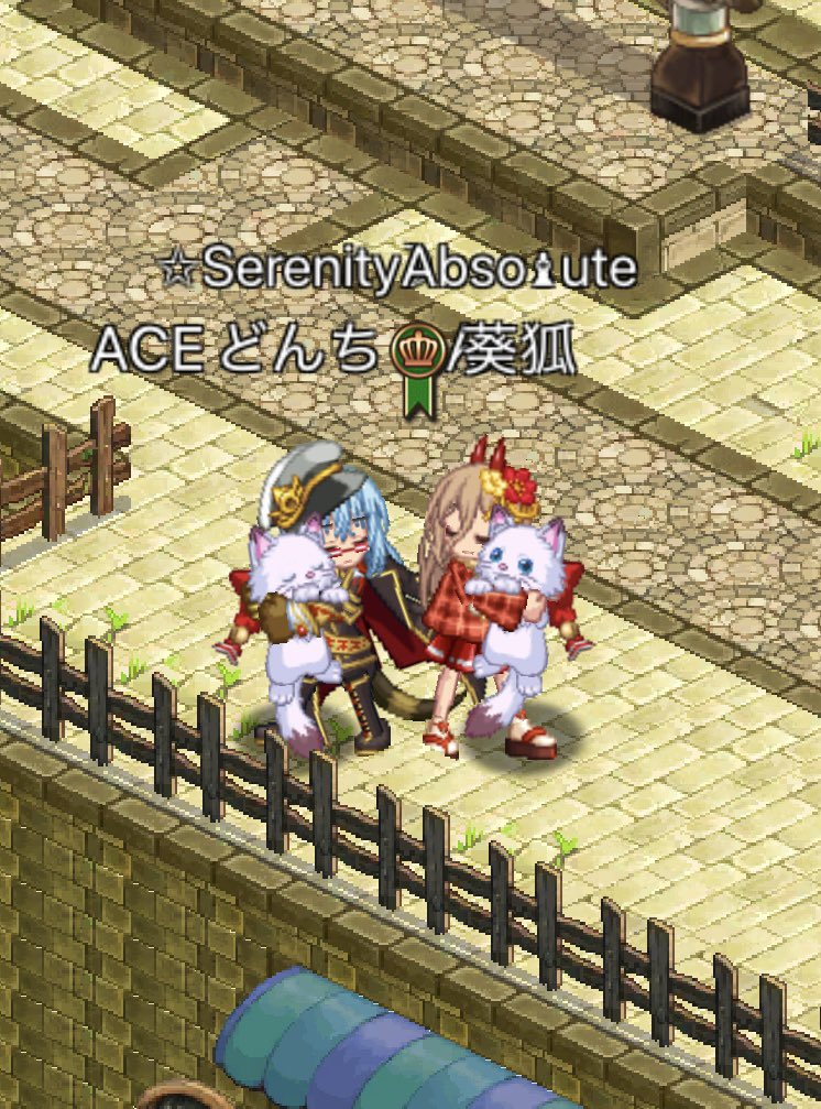 _aoko_rgrs_'s tweet photo. 長い月日を経てどんちゃんと相方になりました！
これからもよろしくお願いします(*^^*)
@ace_donchan https://t.co/zW3J3vrLgJ